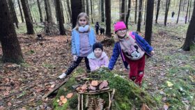 Vychazka-do-lesa-04