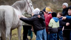 svaty-martin-2025-17