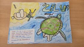 Zajímavosti o zvířatech - 12