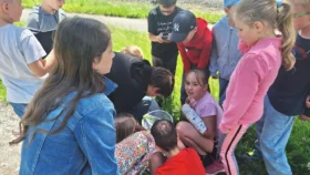 Motýli ve 3 třídě - 15