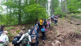 Turistická vycházka Františkov - 08